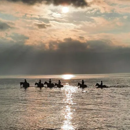 Am Reiterhof Strandtraeumer