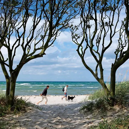 Am Reiterhof Strandtraeumer 公寓 因塞尔波埃尔