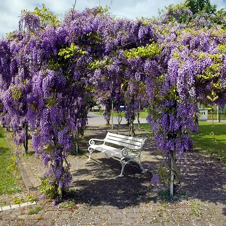 Am Reiterhof Strandtraeumer 因塞尔波埃尔
